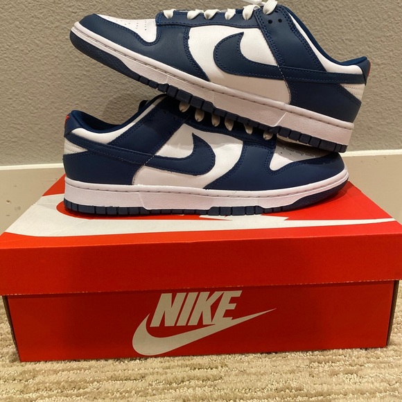 Nike Other - Valerian Dunk Low Retro